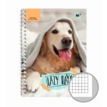 Dəftər 681519 LAZY DAYS Yes