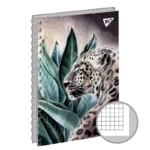 Dəftər 681576 KATIA Yes