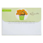 Qovluq 490818 MY СLEAR BAG Leo