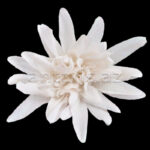 Yeni il bəzəyi 750247 Yes