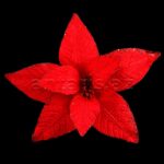 Yeni il bəzəyi 750249 Yes